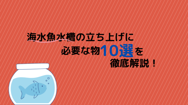 海水魚水槽立ち上げに必要な物10選 Marinelovers