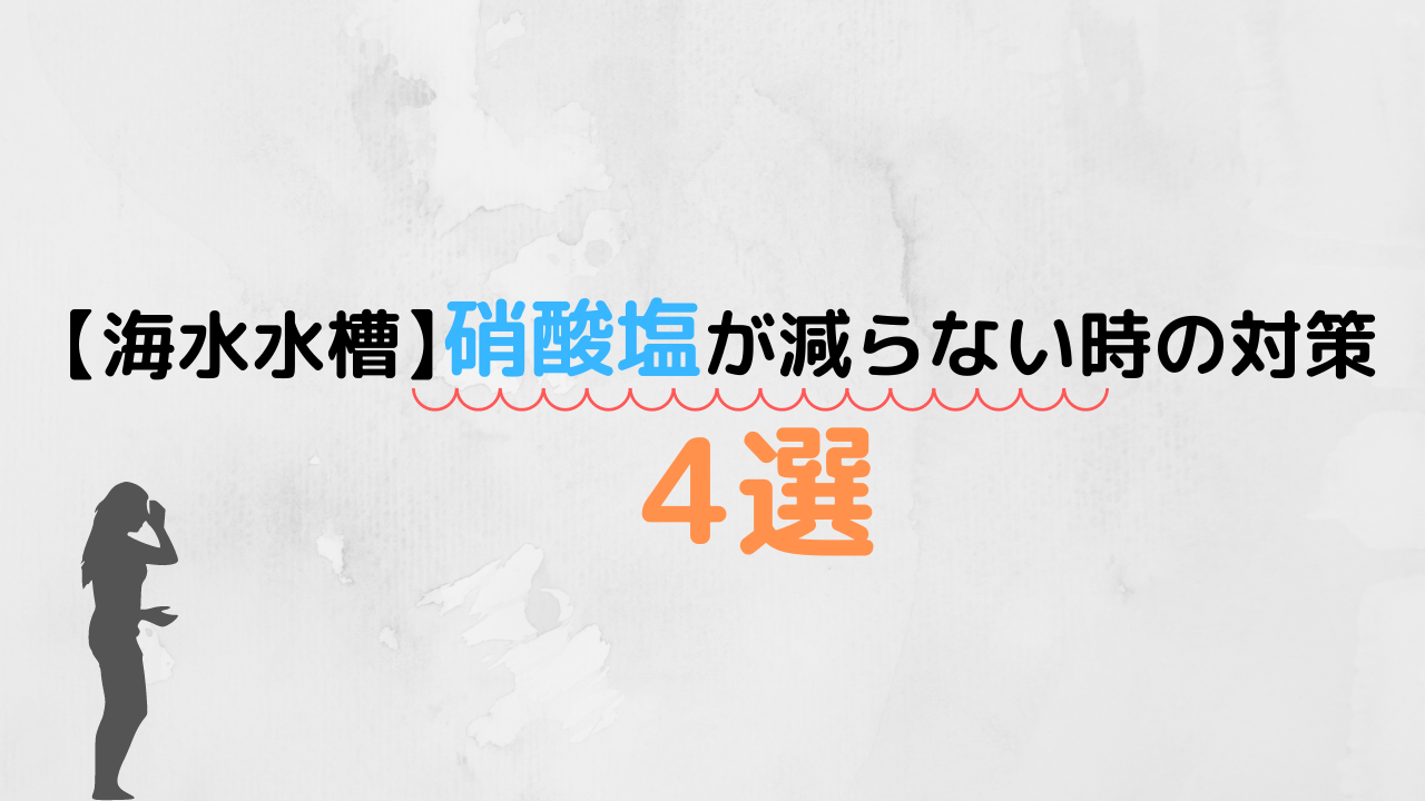 海水水槽 硝酸塩が減らないときの対策５選 Marinelovers