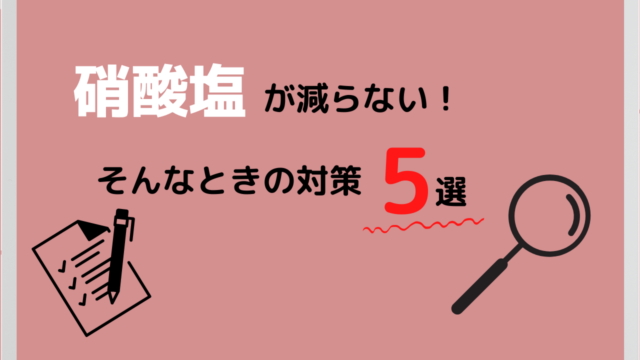 海水水槽 頑固な水面の泡はカルキ抜きが原因かも Marinelovers