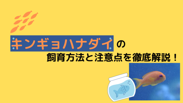 海水魚飼育は難しい 淡水水槽との違いと飼育のポイントを解説 Marinelovers