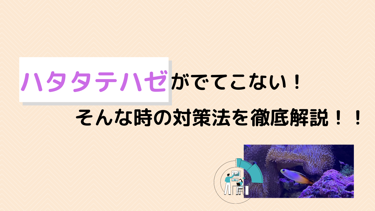 ハタタテハゼ(アケボノハゼ)が出てこない!そんなときの対処法を解説
