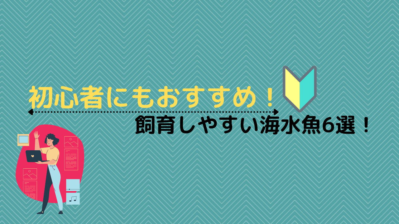 初心者さんにも飼育しやすいおすすめ海水魚６選 Marinelovers