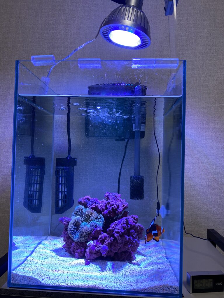 直販販売品 サンゴ　照明　ボルクスジャパン　グラッシーレディオRX122DP　２か月使用 魚用品/水草
