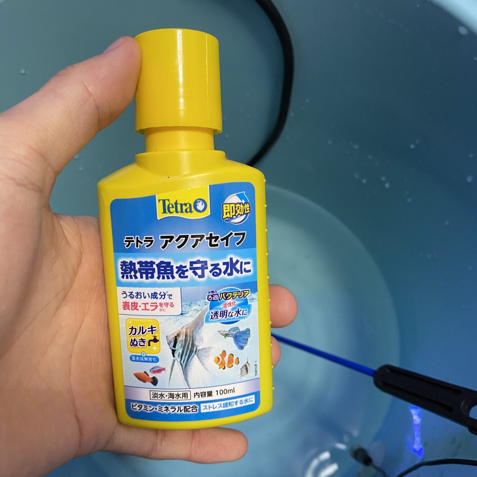 【海水魚】グリーンFゴールド顆粒で海水魚を薬浴する方法について!《細菌病》|MarineLovers 【海水魚】グリーンFゴールド顆粒で海水魚を薬浴する方法について!《細菌病》|MarineLovers