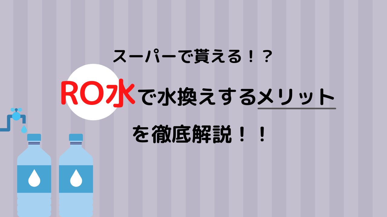 注目の福袋！ 航空便不可 水草 沖縄不可 ３リットル 足し水くん ＲＯ水