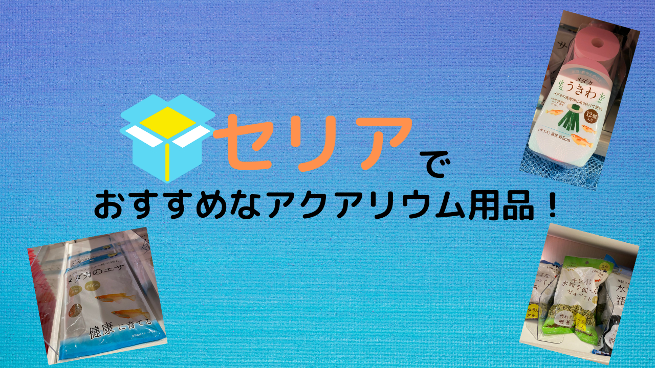 【百均】セリアおすすめアクアリウム用品