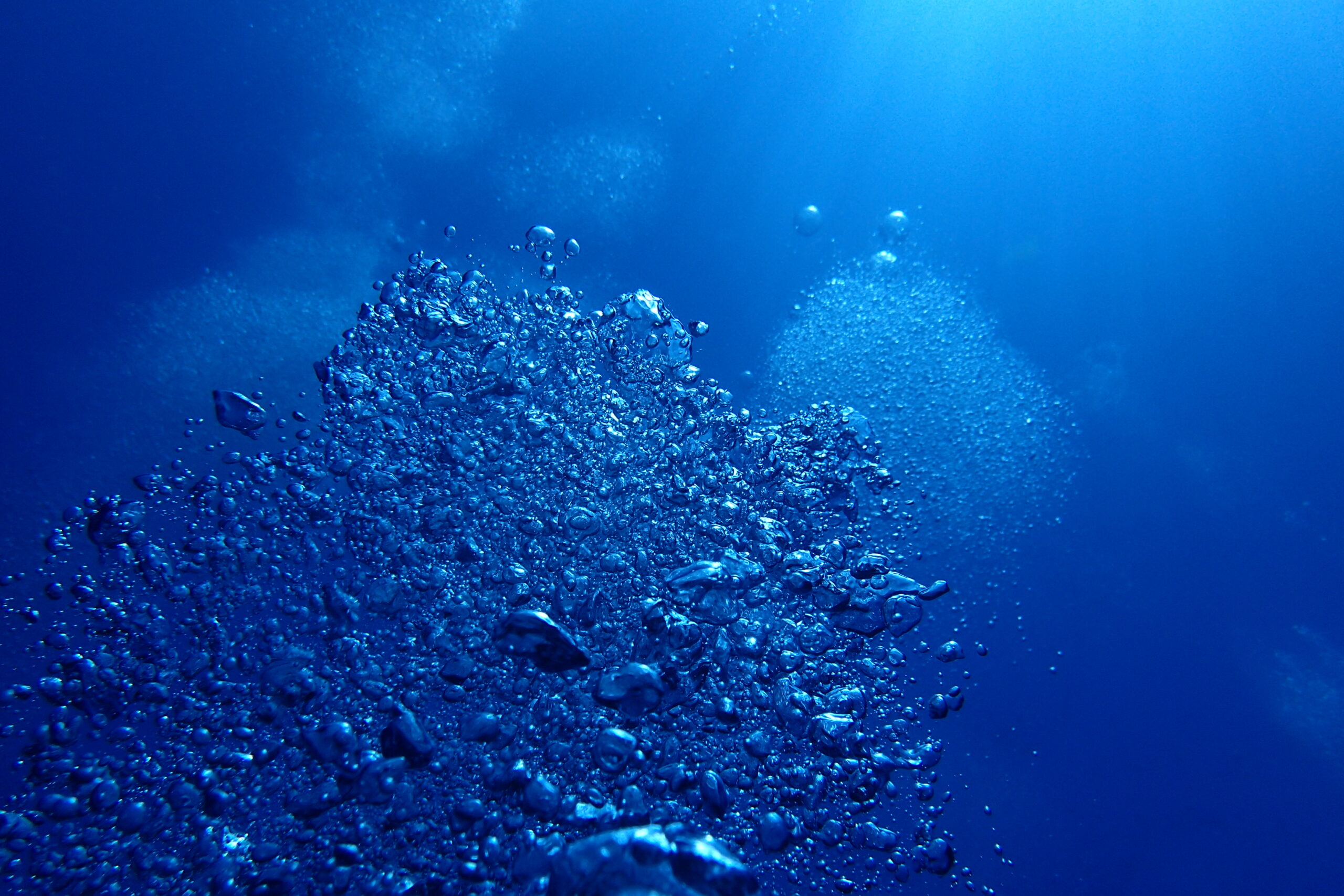 海水水槽 頑固な水面の泡はカルキ抜きが原因かも Marinelovers