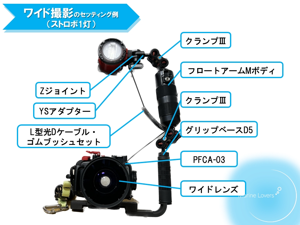 【ストロボ1灯】TG-7（TGシリーズ）の水中ワイド簡単セッティング！