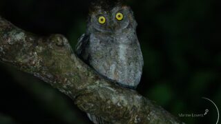 s-DSC04468-320x180.jpg